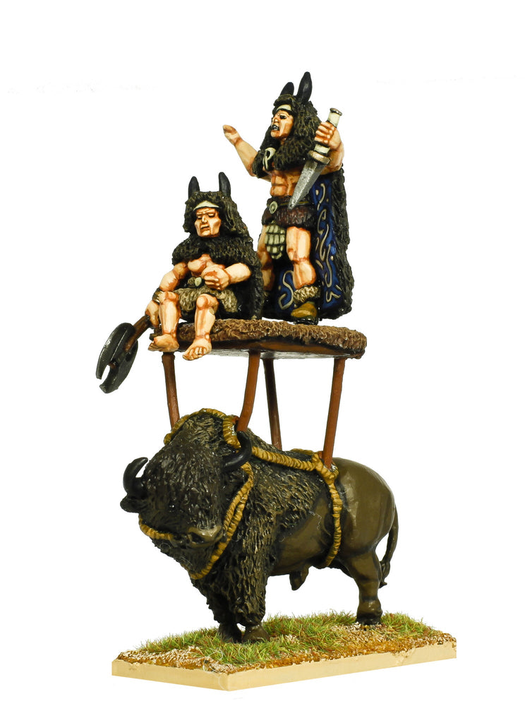 TT521 - Thousand Tribes Buffalo Tribe Shaman