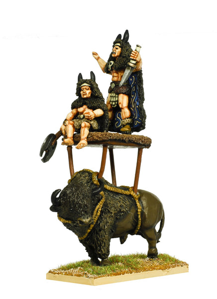 TT521 - Thousand Tribes Buffalo Tribe Shaman