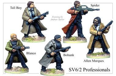 SV062 - Professionals