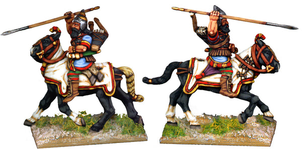 ASS020 - Guards
