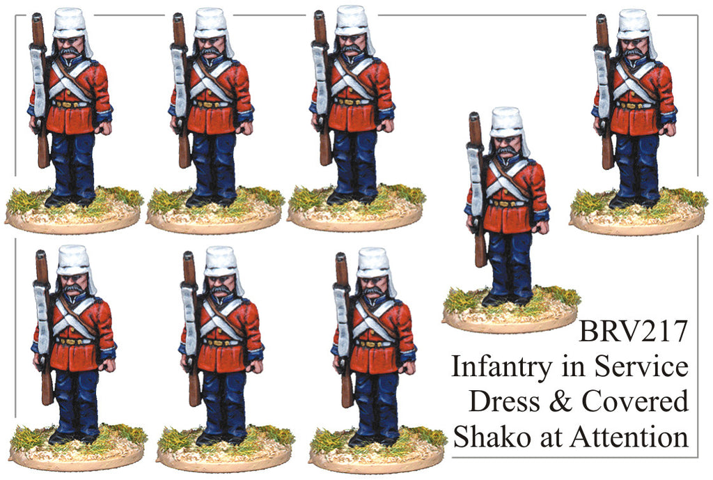 BRV217 British Infantry in Service Dress and Covered Shako at Attention