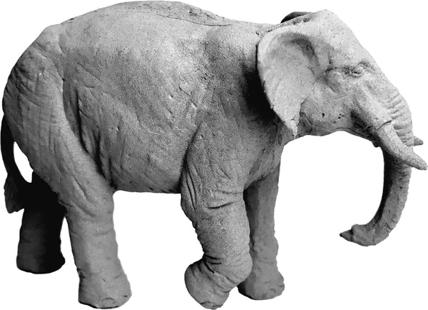 GPR074 - African Elephant