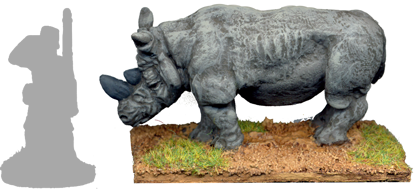 GPR035 - Rhinoceros
