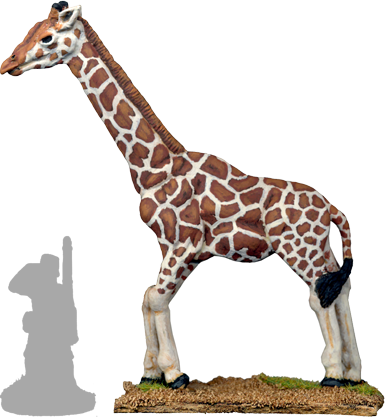 GPR043 - Giraffe 2