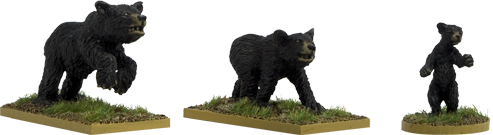 GPR053 - Black Bears