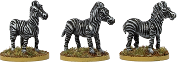 GPR067 - Zebras