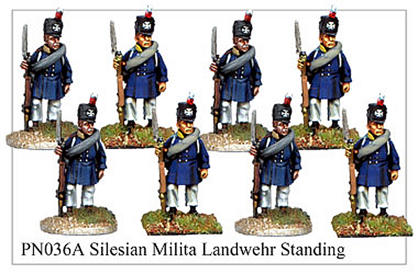 PN036A Silesian Landwehr Standing