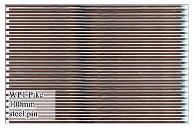 WP001 - Pike 100mm Steel Pin