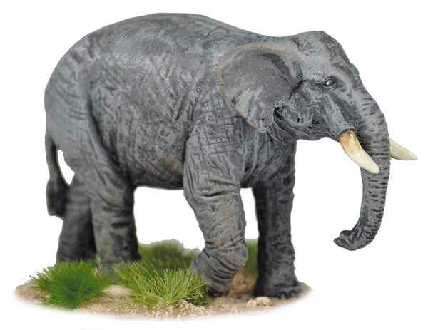 GPR074 - African Elephant